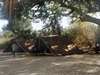 Rufiji River Camp - Camp